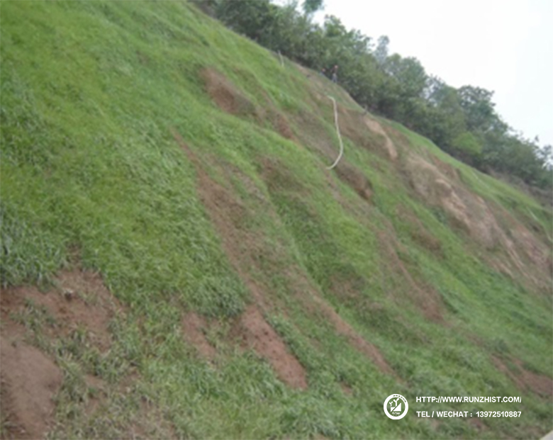 1602058223630030431.jpg 2006.jpg