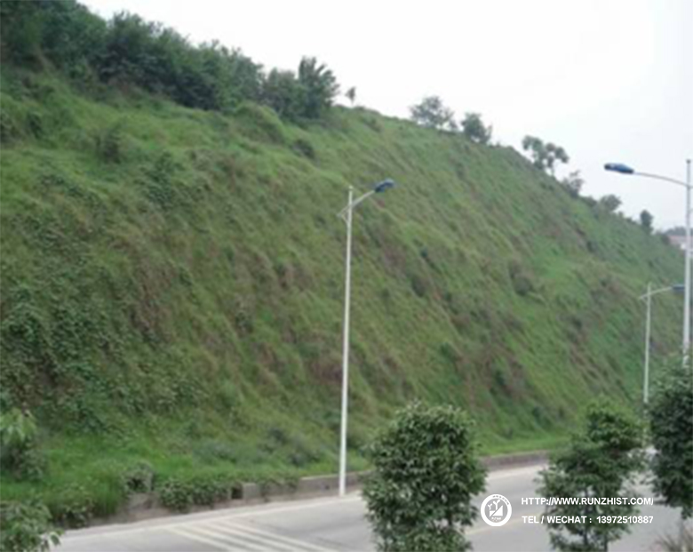 1602058652169058964.jpg 2008.jpg