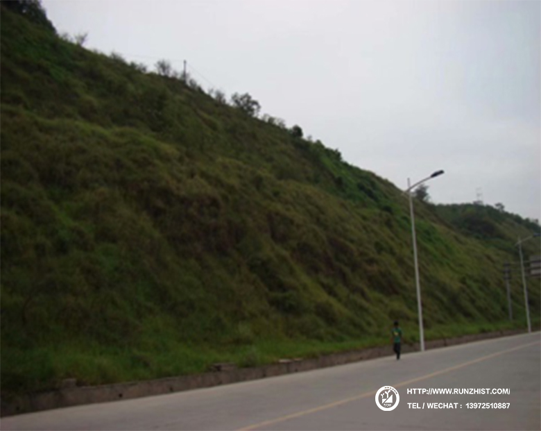 1602058679438077076.jpg 2010.jpg