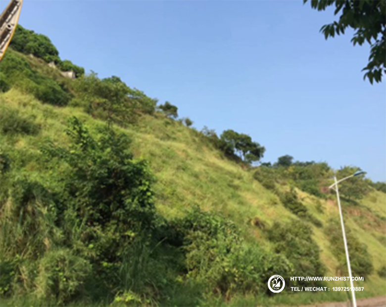 1602058888176028871.jpg 2016.jpg