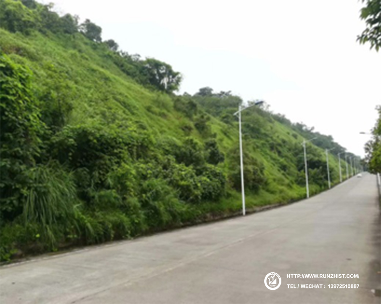 1602058922868016105.jpg 2018.jpg